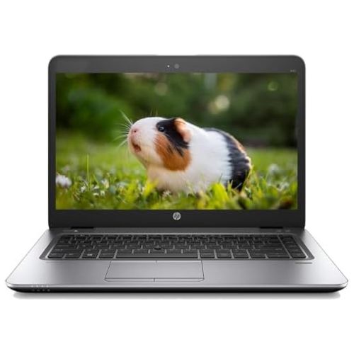 HP EliteBook 840 G3 , Intel Core i5 6th Generation, 8GB RAM, 256GB SSD, 14-inch, Intel HD Graphics 520, English - Silver (Renewed)