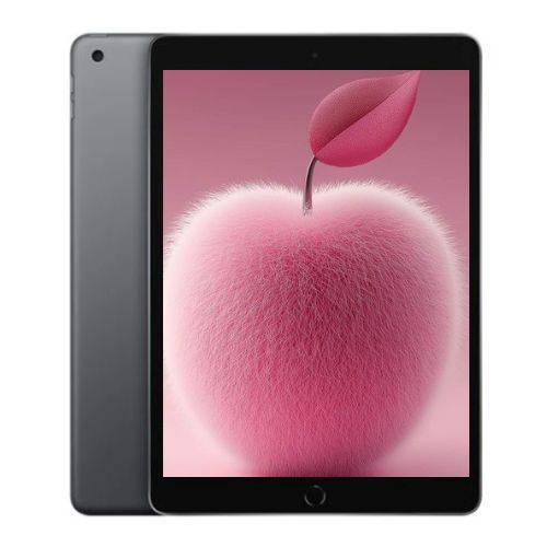 itroves__Apple_iPad_A2270_2020_8th_G-a